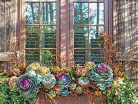 38 Succulent Window Boxes Ideas Window Boxes Window Box Flowers