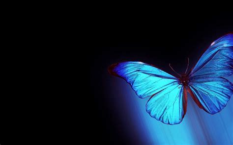 aesthetic wallpaper laptop butterfly Aesthetic butterfly desktop wallpapers - Abstract Wallpapers