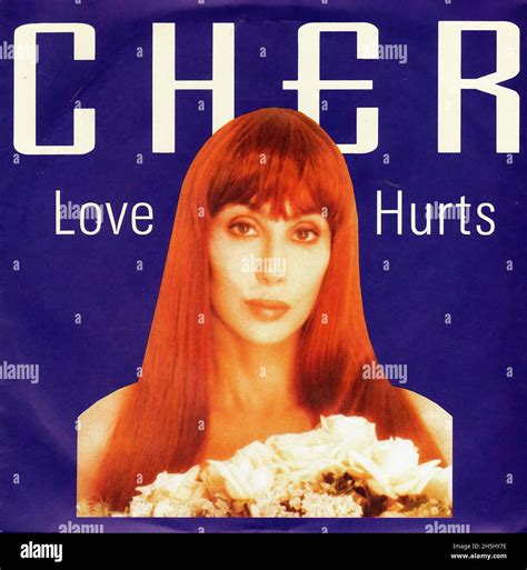 Vintage Single Record Cover Cher Love Hurts Uk 1991 Stock Photo