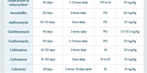 Medications for Treating Lyme Disease in Dogs and Cats: Antibiotics ...