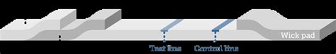 An Overview Of Lateral Flow Rapid Tests Fortis Life Sciences