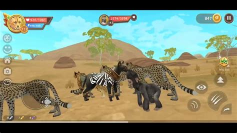 Cheetah Crocodile Gorilla Lion Quests Tasks Wildcraft Youtube