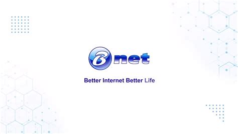 bnet pt wahana internet nusantara  linkedin recap