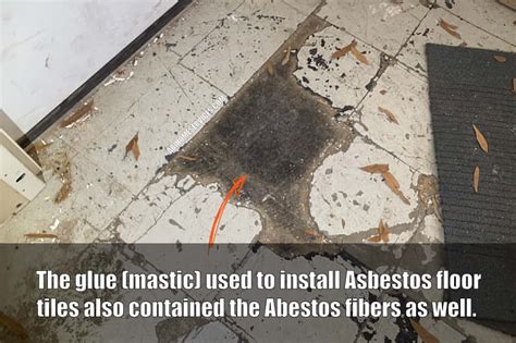 Asbestos Floor Tile Identification Floor Roma