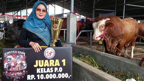 Sapi Ratusan Juta Akhirnya Juara Pertama Enzo Farm Banyuwangi Youtube