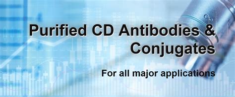 AAT Bioquest社 CD Antibodies CatalogFount of Informationナカライテスク