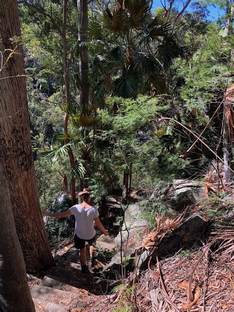 √ National Parks Qld Camping