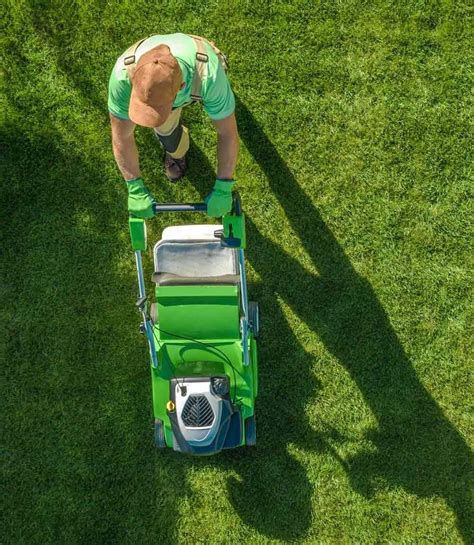 Servicio de jardinería 2024 El mejor servicio y precio