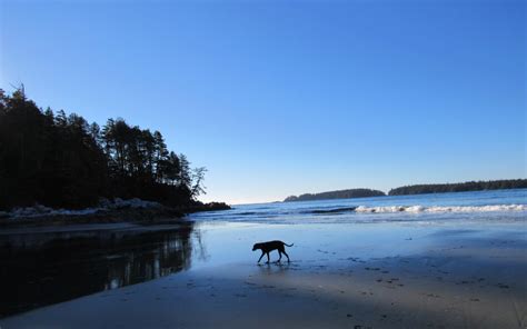 Off the beaten path in Tofino… Tonquin Beach Trail | MJ Explores