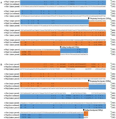 Recombination Events Of The Wsp Gene Between Wolbachia Strains WMsp1