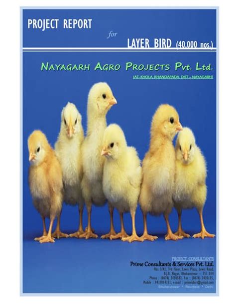 Poultry Project Report Pdf