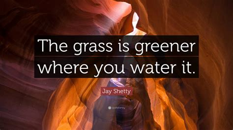 Jay Shetty Quote: “The grass is greener where you water it.”