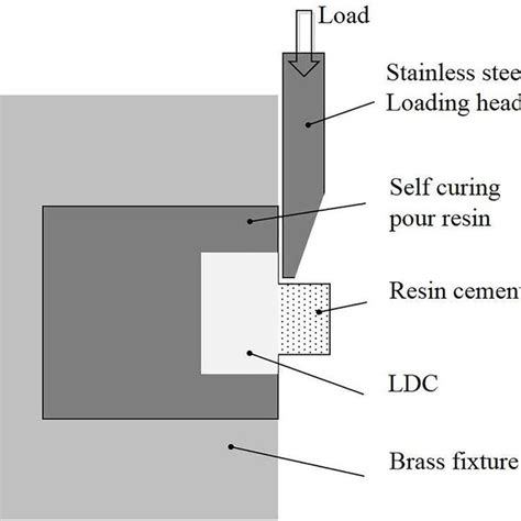 Schematic Illustration Of The Shear Bond Strength Test Download Scientific Diagram