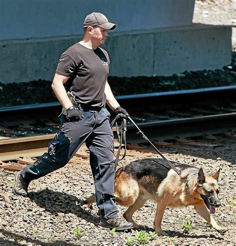 Connecticut State Police canine teams helped in New Haven dismemberment ...