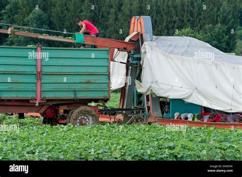 Landwirtschaft flyer Fotos und Bildmaterial in hoher Auflösung Alamy