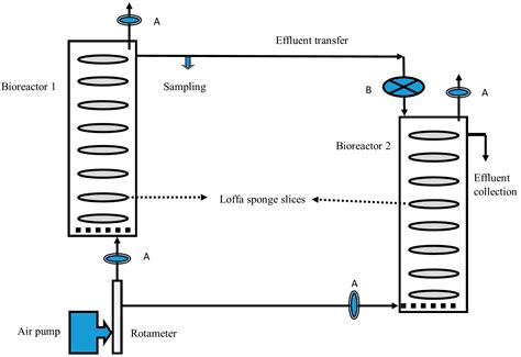 Fermentation Diagram Of Stages