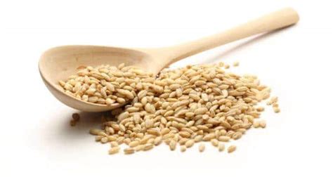 Keep Your Heart Healthy By Including Barley In Your Diet