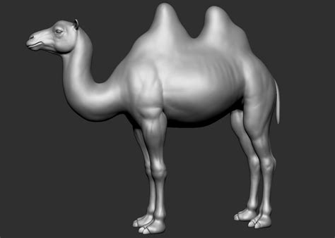 3D file Domestic animal collection 5 animals 🚜・3D print model to ...