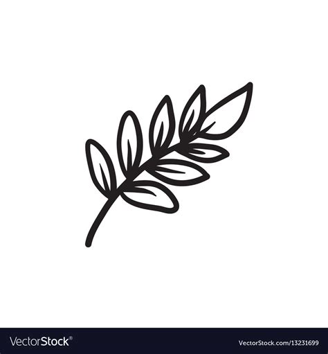 Palm branch sketch icon Royalty Free Vector Image