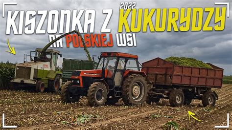 Kiszonka Z Kukurydzy Na Polskiej Wsi Wtopa X New