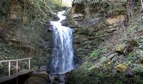 LEKOVITA BLAGA SRBIJE SIJARINSKA BANJA MARINIRANJE