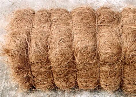 Brown Coir Fibre Packaging Type Bundle Packaging Size Kg At Rs