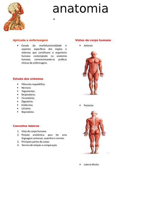 Anatomia Humana Aplicada A Enfermagem Resumos Anatomia Docsity