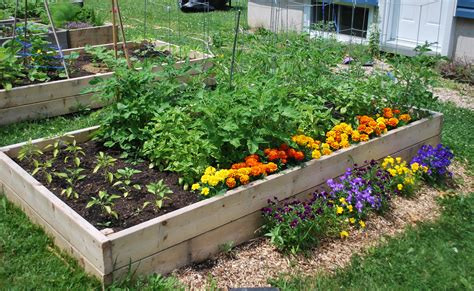 Potager Biologique On A Tous Un Pouce Vert