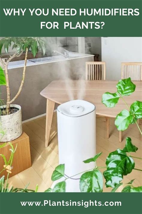 Best Humidifier For Plants Homes And Grow Rooms Artofit