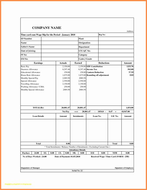 Free Blank Pay Stub Template Downloads Free Payroll Check Stub Free Printable Check Stubs