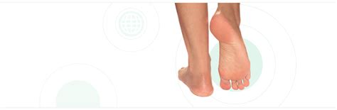 Каталог - «ОРТО-МИР»