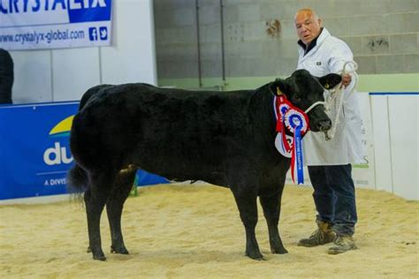 Image Gallery National Beef Association