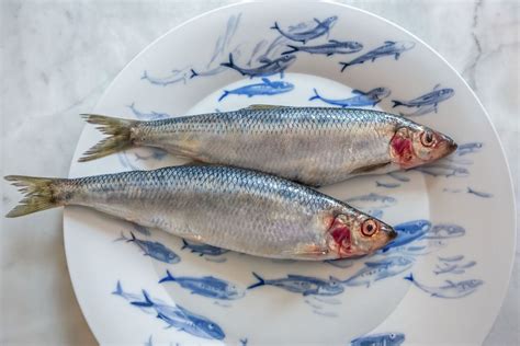 Hering Berlin Ocean Dinnerware || Available at Kneen&Co