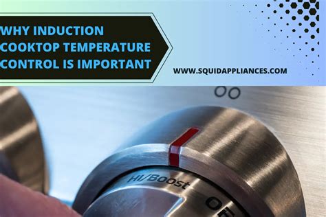 Why Induction Cooktop Temperature Control Is Important And How To Do It? A Complete Guide ...