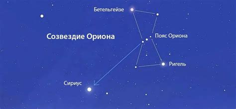 Хоста кольцо ориона фото и описание