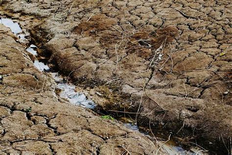 Kekeringan Ancam 72 Desa Di Bangkalan Fenomena El Nino Diperkirakan