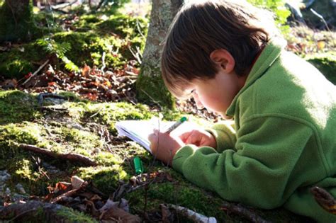 Avantatges De Les Activitats A La Natura Alba Colonies