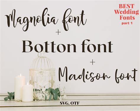 Magnolia Font Magnolia Script Font Svg Magnolia Font Svg Etsy