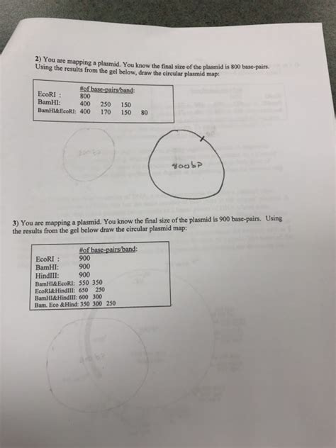 You Are Mapping A Plasmid You Know The Final Size Chegg