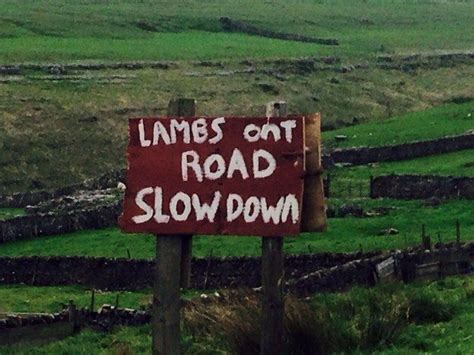 30 Incredibly Funny Irish Pictures Artofit