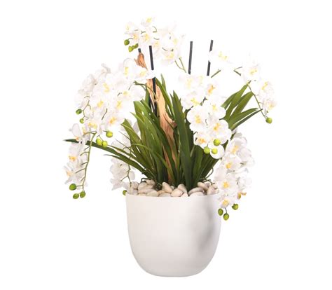 White Vanda Orchid in White Resin Bowl - 219071-W - D&W Silks