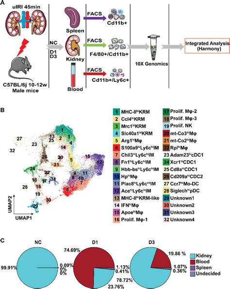 Single Cell Rna Sequencing Identifies A Unique Inflammatory Macrophage