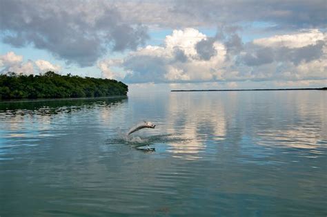 Marquesas Keys Fishing | Key West