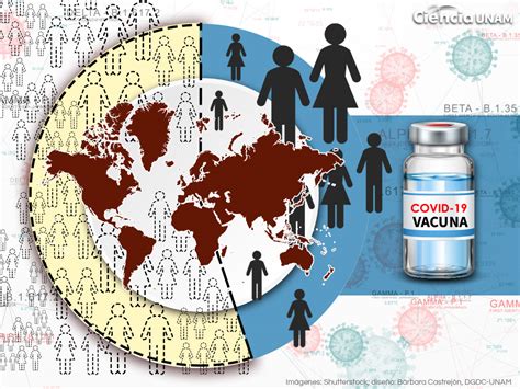 Coronavirus Las Vacunas Evitan Millones De Muertes Ciencia Unam