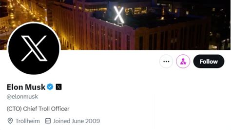 Elon Musk Is Now Chief Troll Officer Changes X Bio