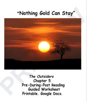 Chapter 5 The Outsiders Nothing Gold Can Stay By That S Lit TPT