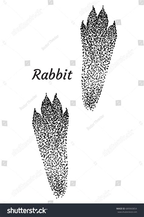 Vektor Stok Rabbit Footprint Illustration Drawing Engraving Ink Tanpa