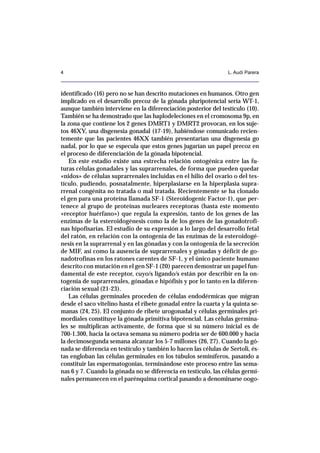 Diferenciaci N Sexual Pdf