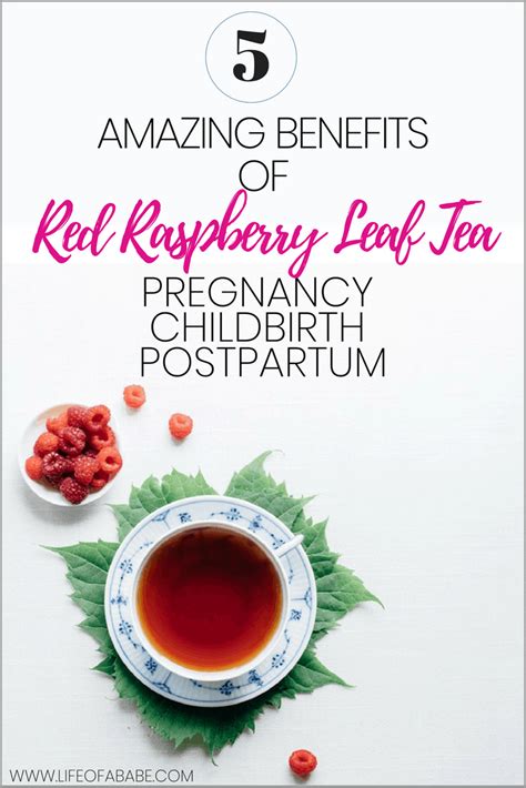 When To Drink Raspberry Leaf Tea In Pregnancy Raspberry