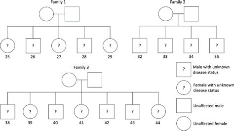 Structure of each nuclear family. Each diagram in this figure ...